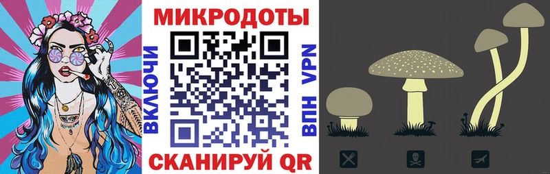 MEGA ссылка  Костерёво  Галлюциногенные грибы прущие грибы 