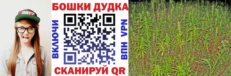 Канабис семена Костерёво